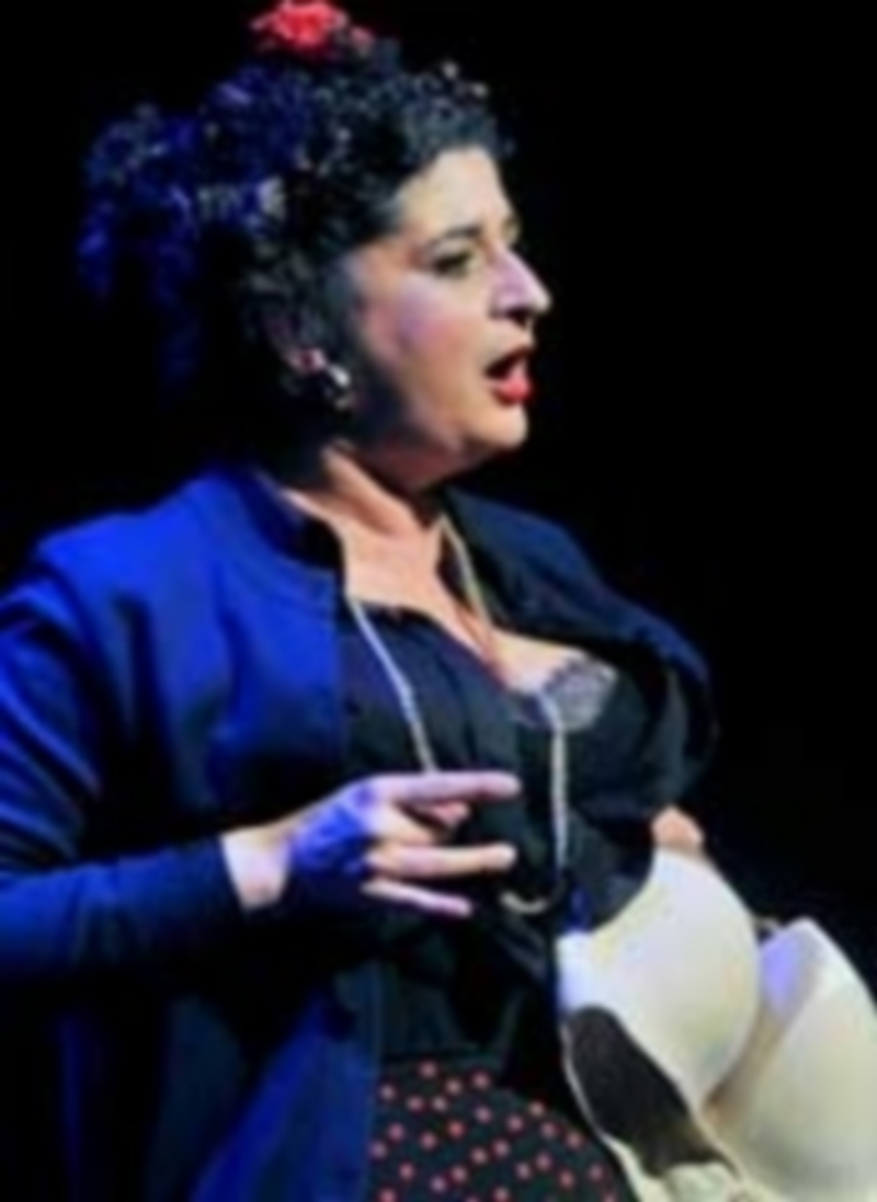 Las chirigotas gaditanas en Segovia./ Foto: Kamarero