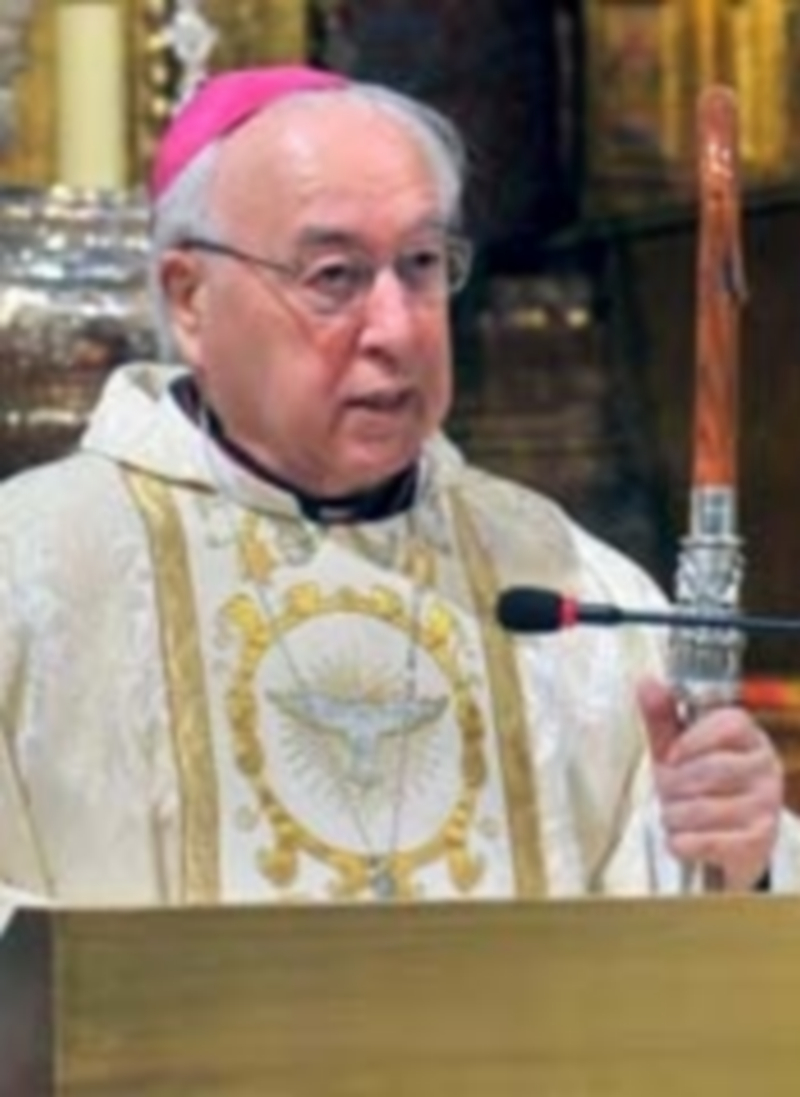 El obispo de Segovia