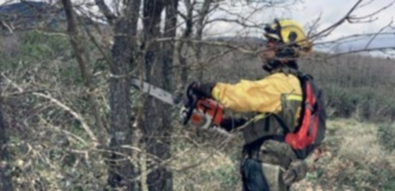 Las cuadrillas forestales que realizan trabajos de prevención son el objetivo de la iniciativa. / PEDRO MERINO