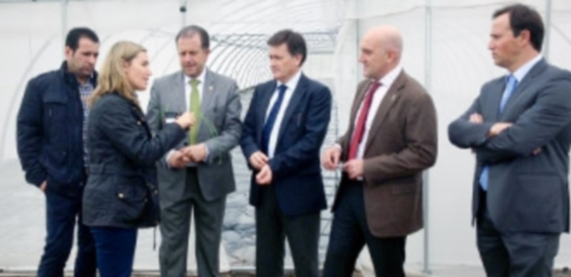 El presidente de la Diputación