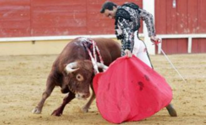 El Cid toreará un año más en Cuéllar. / Gabriel Gómez