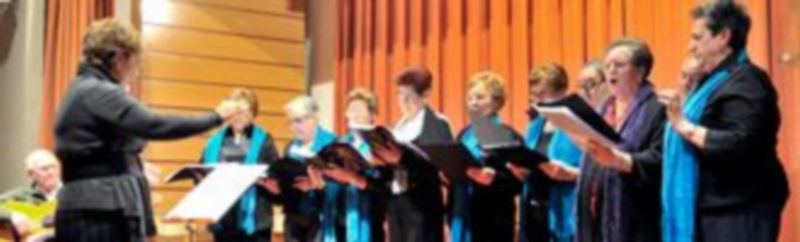 Un momento de la actuación de la coral del Hogar de El Espinar el ayer en el Parador de Turismo de Segovia. / Kamarero