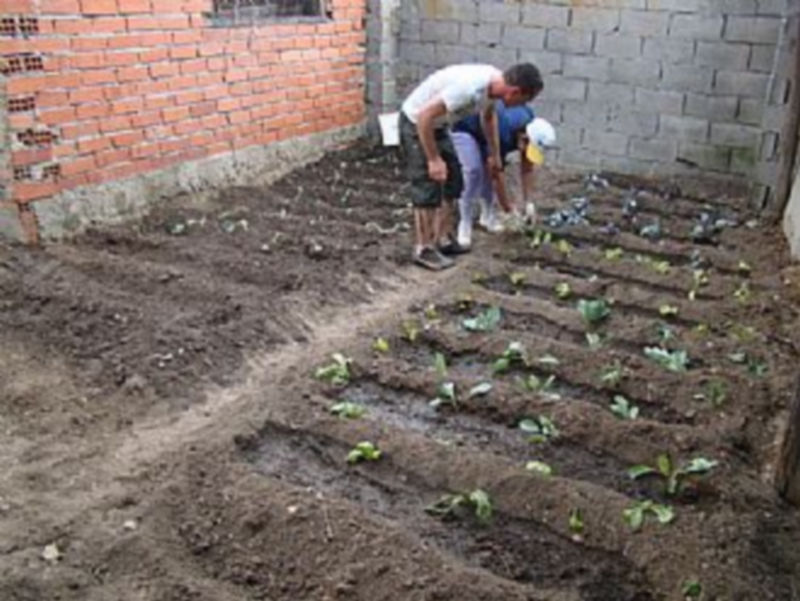 En el futuro se busca crear un patio interior dedicado en exclusividad a la jardinería y a la horticultura / El Adelantado