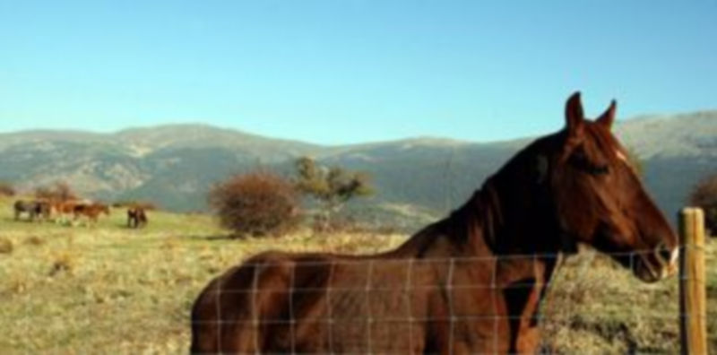 Las Cortes de Castilla y León aprobarán mañana la ley de declaración del parque natural Sierra norte de Guadarrama