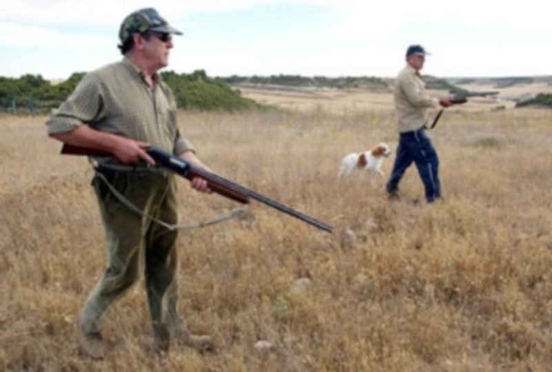 Castilla y León es la región española que cuenta con mayor superficie destinada al aprovechamiento cinegético./ E.A.