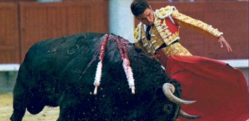 Alberto Aguilar torea en Cantalejo tras su éxito del pasado año. / El Adelantado