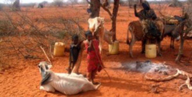 En países como Somalia