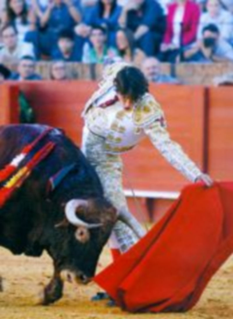 Antonio Nazaré será el invitado de la Terturlia Taurina de Segovia. / El Adelantado