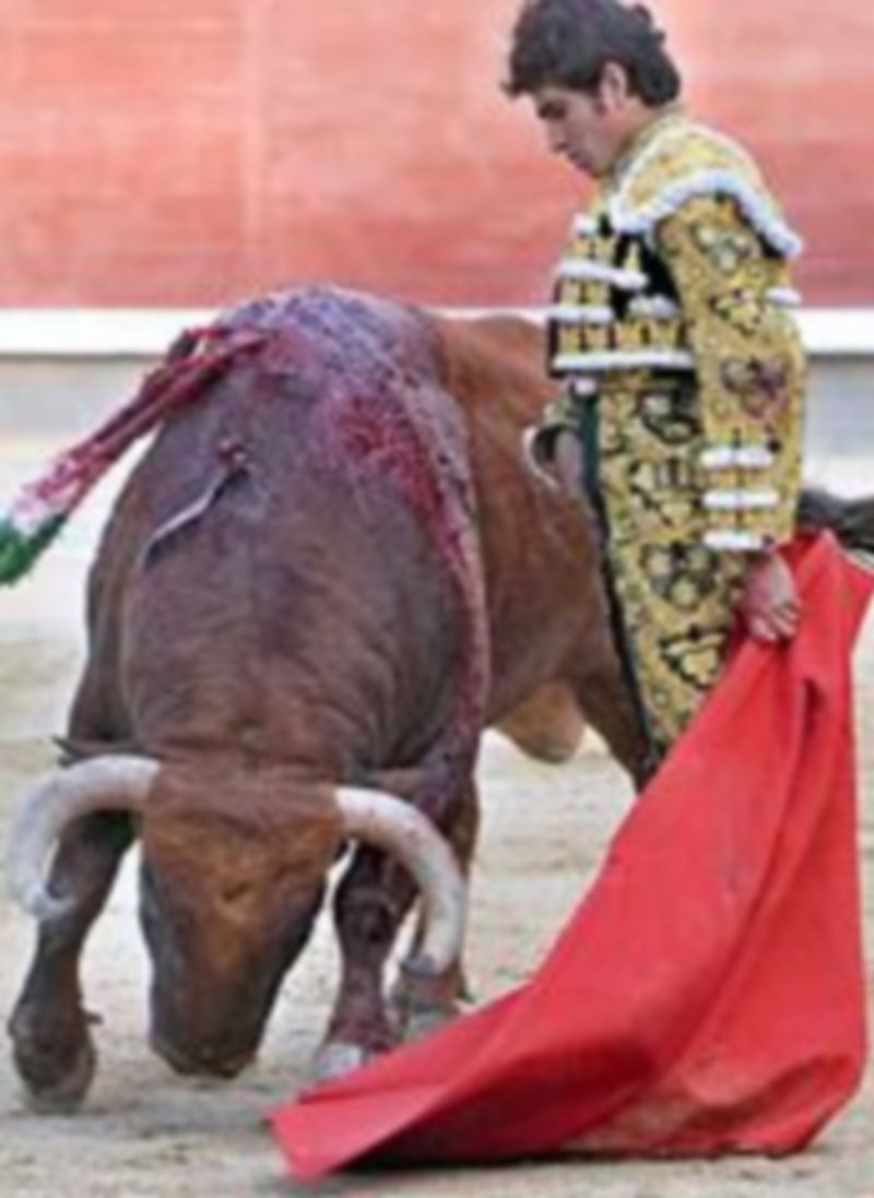 Joselito Adame enriquece mayormente la Feria de Cantalejo. / El Adelantado