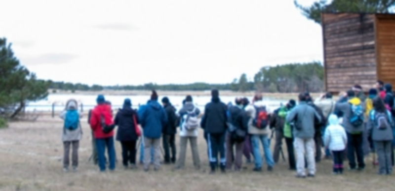 El promotor de la página web Elitebook