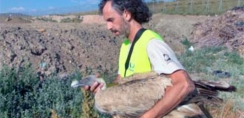 Miembros del Colectivo Azálvaro rescataron un ejemplar. / EL ADELANTADO