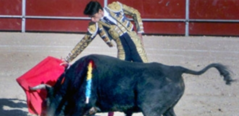 Víctor Barrio abre la temporada toreando en Valdemorillo el próximo 8 de febrero. / Juan Martín