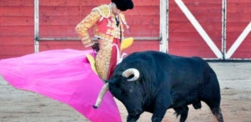 Víctor Barrio toreará este año en Cantalejo tras el éxito conseguido en 2015. / El Adelantado