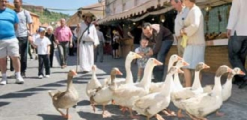 El Mercado del Arrabal de San Lorenzo cuenta con actuaciones de calle