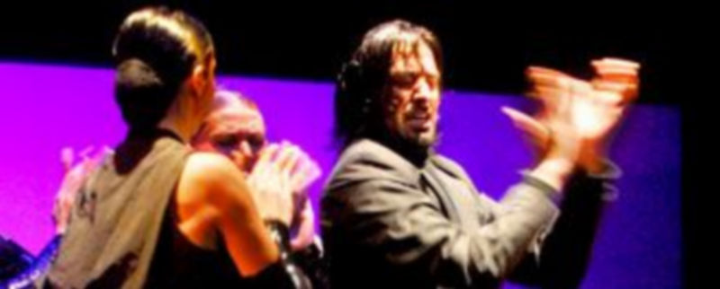 La compañía de Rafael Amargo estará en Segovia este domingo. / Kamarero