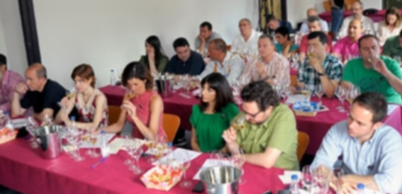 Las catas de la mañana se celebraron en el Palacio de Quintanar y contaron con unos 25 profesionales cada una. / El Adelantado