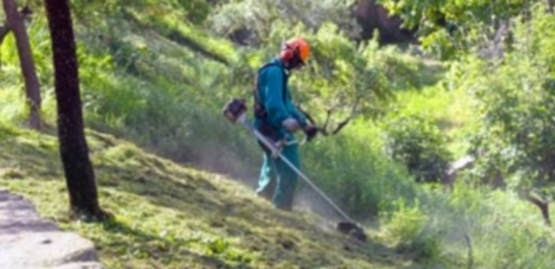 Un operario realiza labores de mantenimiento en el área del bajo Clamores. / Kamarero