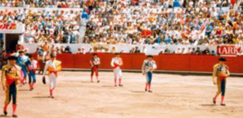 Se interesa que los festejos segovianos sean declarados "Patrimonio Cultural Inmaterial". / EL ADELANTADO