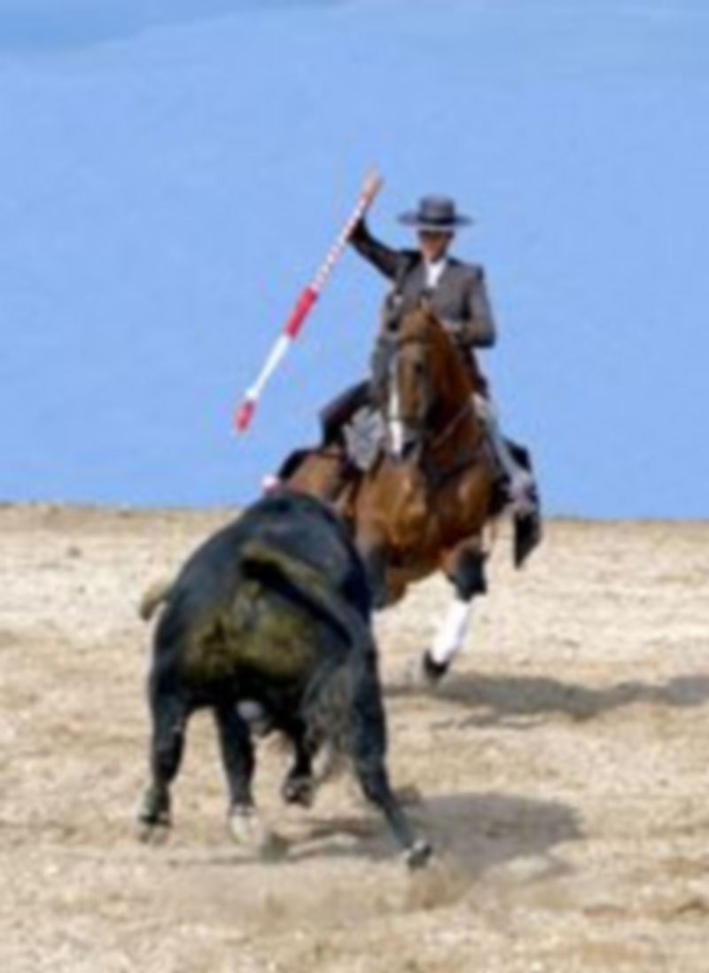 La rejoneadora francesa Lea Vicens