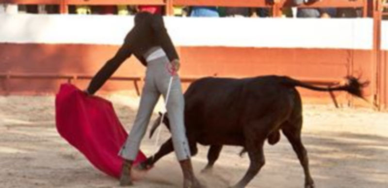 Tradicional paseíllo en la funcional plaza de toros de Yanguas de Eresma. / Sara Hernández