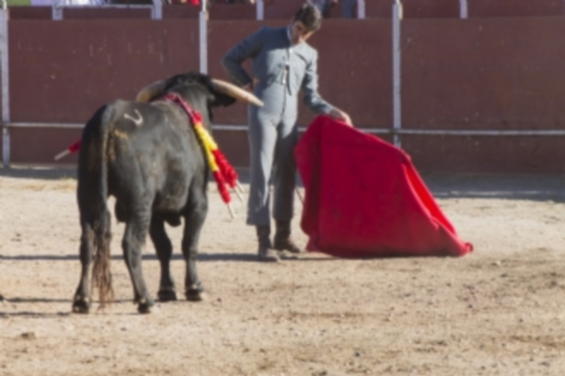 El diestro Jesulín de Ubrique torea esta tarde en Navalmanzano. / El Adelantado