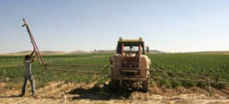 Rico asegura que el Gobierno español propondrá a la UE dar una ayuda de 100 euros por hectárea a cada agricultor./E. A.