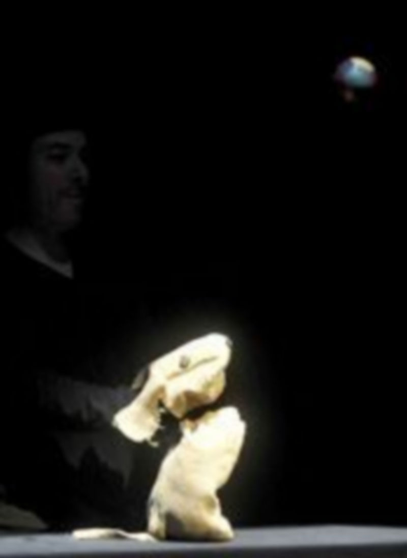 Un perro de trapo sigue las evoluciones de una pelota sobre el escenario