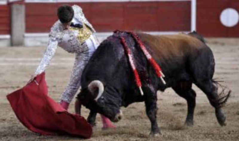 Imagen de archivo de David Galván durante un festejo taurino. / P. Merino