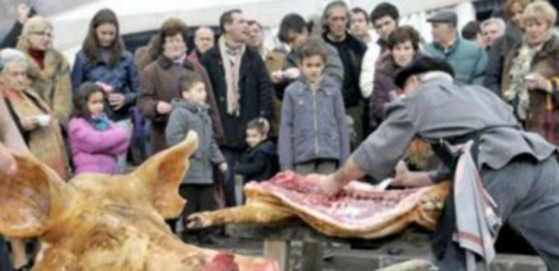 El  cerdo fue destazado conforme a las prescripciones que marca la ley. / ALBERTO BENAVENTE