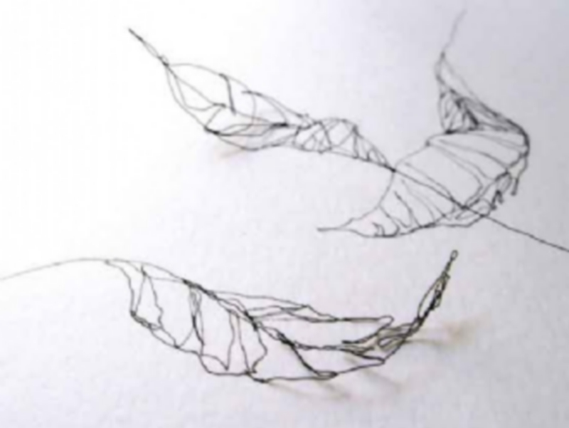 Cristina Almodóvar. Hojas. Detalle. 2015. Dibujo a tinta