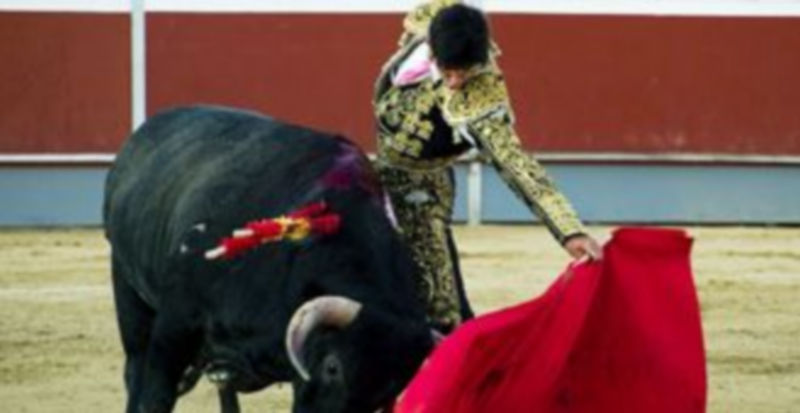 Víctor Barrio torea este sábado en El Espinar./ El Adelantado