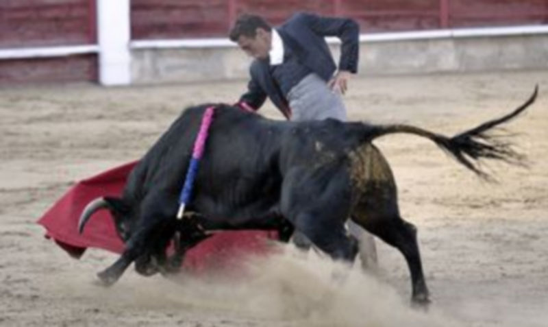 Miguel Tendero mostró la más selecta gama del toreo con el refrendo de una gran estocada. Cortó dos orejas. / Juan Martín