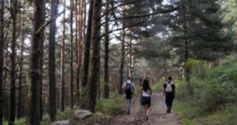 Fotografía de archivo de varias personas paseando por uno de los caminos forestales de El Espinar. / Juan Martín
