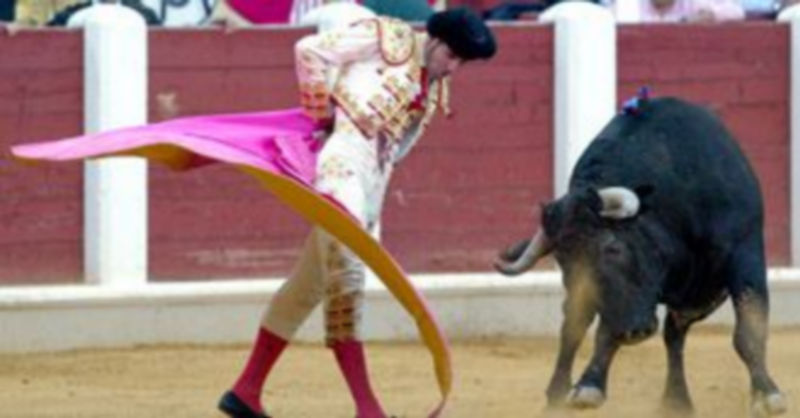 Juan José Padilla toreará en Cuéllar. / ICAL