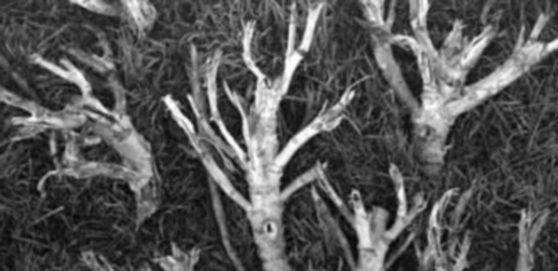 Arco de probabilidad 1 Javier Herrero Valle. Sin título (2012). Pigmentos minerales sobre papel RC.13 x 18 cms.