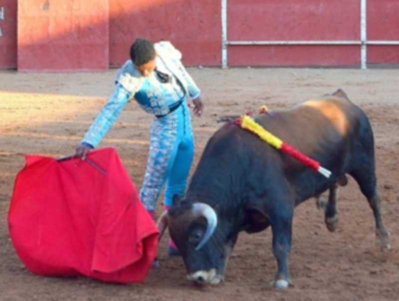 Igor Pereira debuta con picadores en Riaza el martes 16. / P.P.