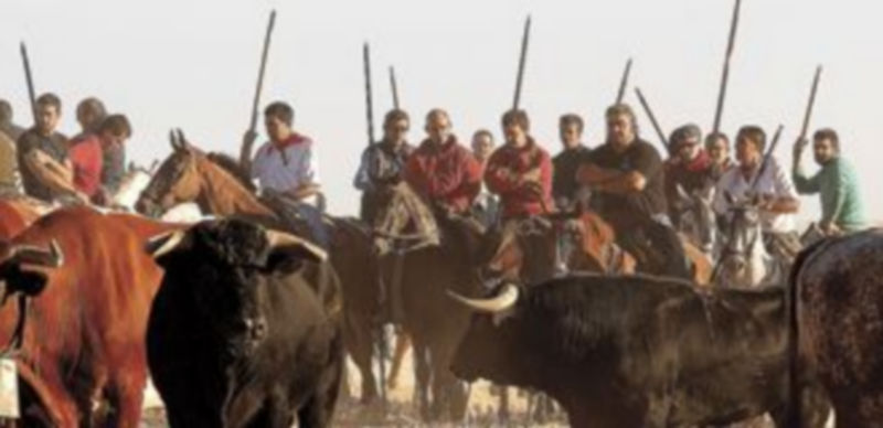 El plazo permanecerá abierto hasta el 14 de agosto. / Gabriel Gómez