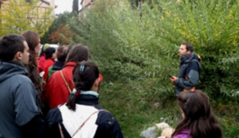 Un grupo de participantes en las actividades de la Fundación escucha las explicaciones del monitor.  / El Adelantado