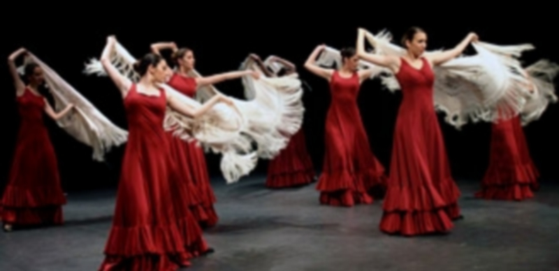 La Escuela de Danza de Ana Belén Lázaro protagonizó hace dos un festival para los raracumi. / El Adelantado