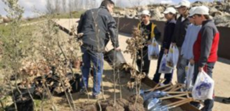 Un operario municipal da instrucciones a un grupo de chavales para plantar un árbol