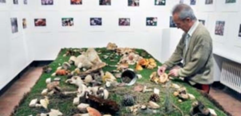 La Sociedad Micológica llevó a cabo una completa expoisición con motivo de su 25 aniversario. / Kamarero