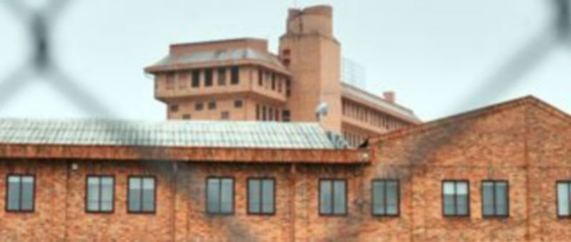 Imagen de la fábrica Primayor Elaborados