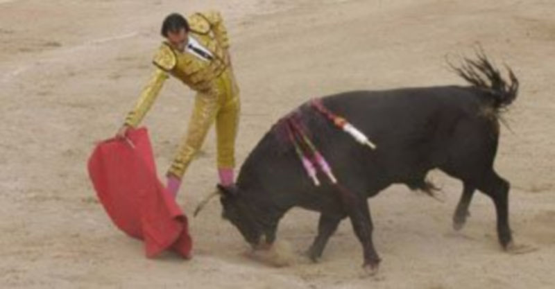 Leandro encabeza la terna taurina del miércoles 31 en Cuellar. / El Adelantado