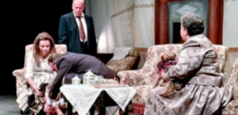 Los componentes del grupo La Vega de Valseca emocionaron con su representación de 'Marianela' a un Juan Bravo lleno/ E. A.