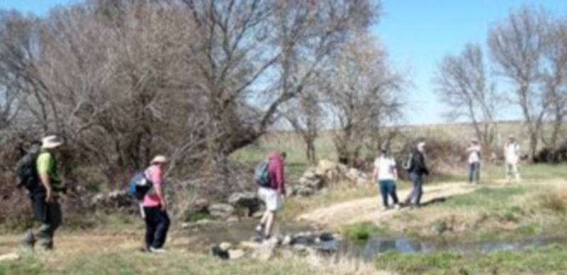 El buen tiempo  sigue siendo el protagonista de unas jornadas inolvidables./ El Adelantado.