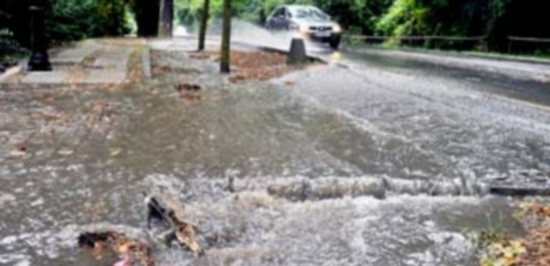 Imagen que presentaba ayer por la mañana el paseo de SAnto Domingo de Guzmán. / Kamarero