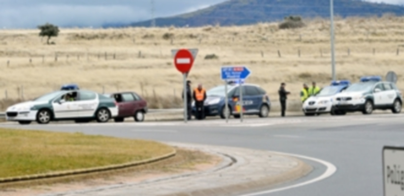 Varias dotaciones de la Policía Nacional y de la Guardia Civil
