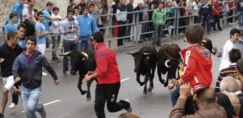 La suelta de vaquillas fue seguida por numeroso público a lo largo de su recorrido. / Gabriel Gómez