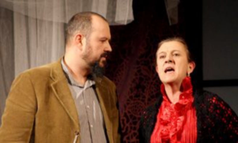 La Tartana de Patricia representará a Segovia en el Certamen. / El Adelantado