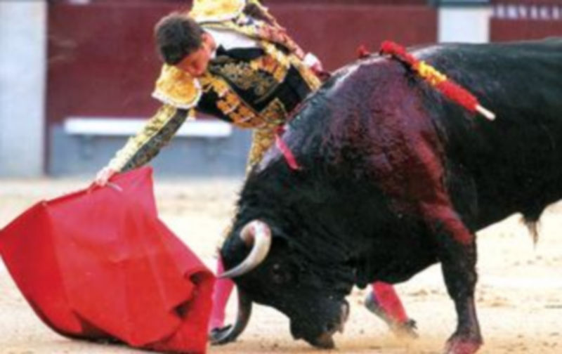 El Juli torea en la localidad de Cantalejo el próximo 17 de agosto. / El Adelantado